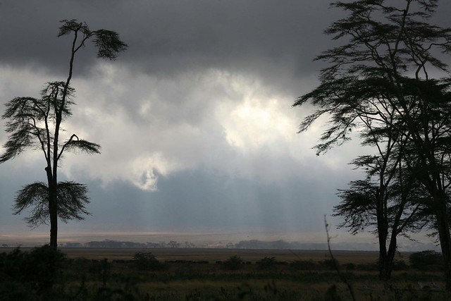 Ngorongoro Crater Tanzania East Africa Drought 2009