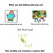 Get Nutri Leaf. Stay Healthy