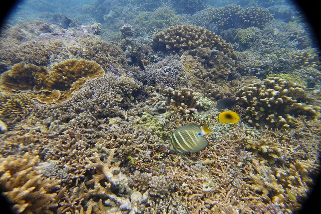 snorkeling in New Caledonia_raw-3009