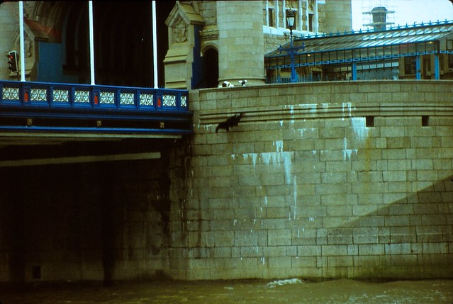 London, Tower Bridge 1985 - Man in the Thames!