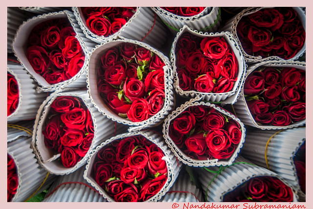 Pocket full of roses ............!