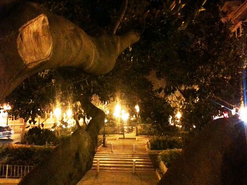 Kelvin Killmon blog - Tree