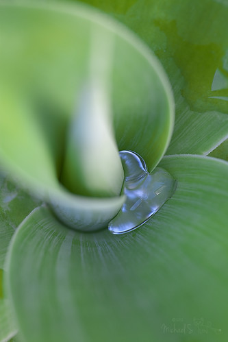 Just resting here | by >michael