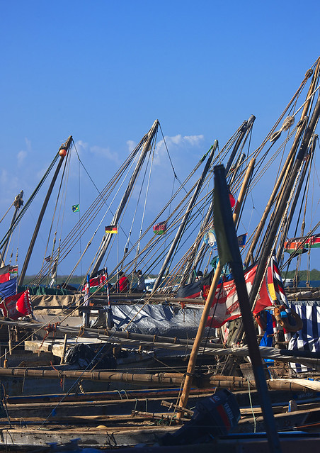 Dhow Masts In Lamu Port, Lamu, Kenya