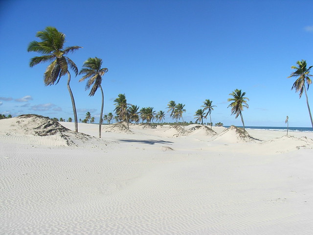 beach in brazil