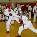Sat, 02/25/2012 - 15:07 - Photos from the 2012 Region 22 Championship, held in Dubois, PA. Photo taken by Ms. Kelly Burke, Columbus Tang Soo Do Academy.