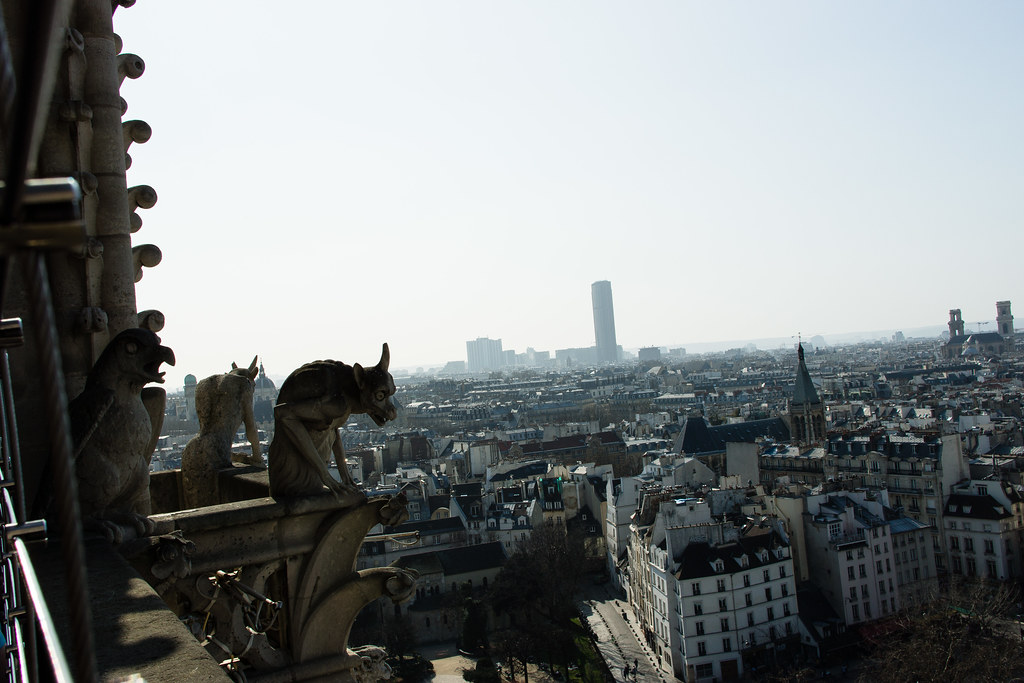 Paris from the top of the Notre Dame cathedral | Well worth … | Flickr