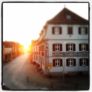 Sonnenuntergang hinter Zeilitzheim