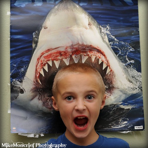 Shark Attack..Sort Of | by superninja12r