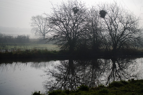 Misty canal
