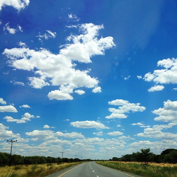 Our view for the past several hours & several more to come. #ontheroad #botswana #travel