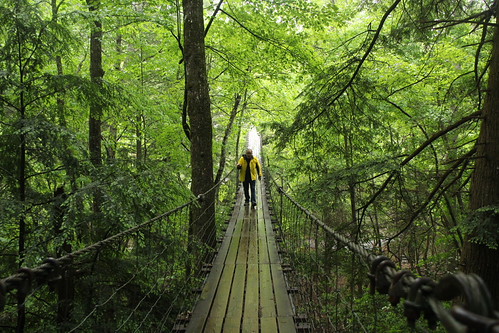 Fall Creek Falls State Park by Gamma Man, swingingbridge suspensionbridge tn tennessee fallcreekfalls park statepark fallcreekfallsstateparktn