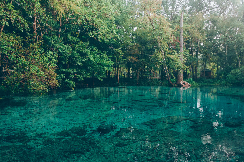 Ginnie Spring is the namesake spring of Ginnie Springs, a popular camping.....