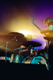 Foals