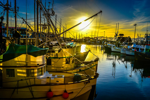 sf sanfrancisco california ca sunset usa sun sunlight america marina docks boats boat us dock san francisco unitedstates yacht over calif cal american wharf fishermans yachts fishermens sunet