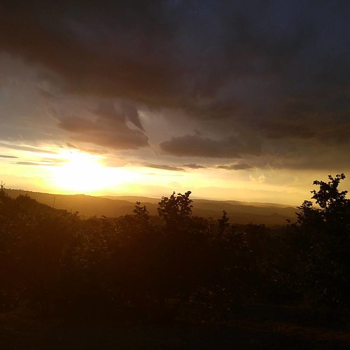 Strani tramonti #sunset #instalanghetti #ig_cuneo #igerslanghe #ig_piemonte #langhe #langheunesco #unesco #fratelliaimasso #dianodalba #wine #winery #nofilter #cool #rain by Fratelli Aimasso, square squareformat iphoneography instagramapp uploaded:by=instagram