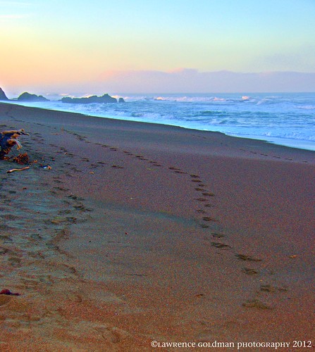 california sand footprints beaches cambria moonstonebeach