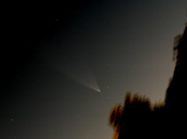 Comet McNaught another fuzzy object_2_1