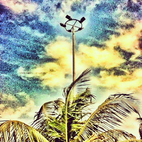 #iphonesia #photography #photooftheday #instagood #instagramgreatness #instagood #iphonephotography #statigram #instagramhub #westagram #igdaily #instagramers #instagroove #bestshots #gphotogram #rosaj #instalike #popular | by hardi_m