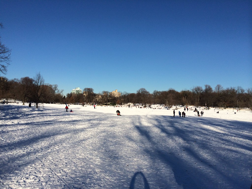 Snow in Prospect Park