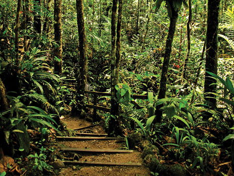 Kinabalu Park