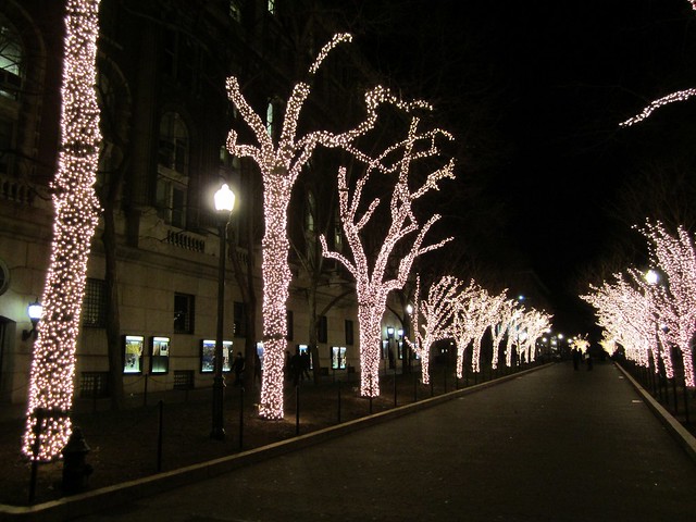 Columbia lights