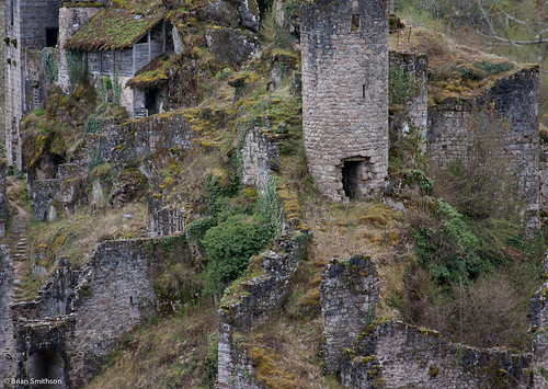 detail overgrown photography towers wilderness correze fallingdown ruinedcastle heritagesite reclaimedbynature lestoursdemerle briansmithson