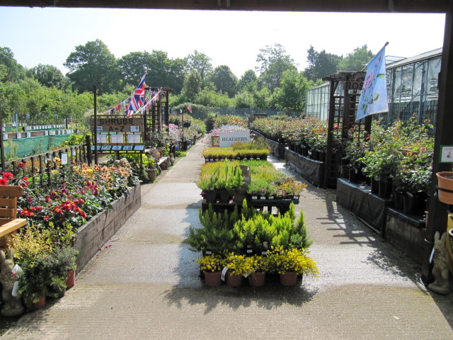 The outdoor plant area | Manor Nursery, Angmering, West Suss… | Flickr