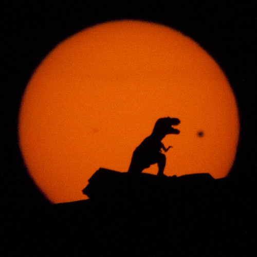 Venus Transit of 2012 | A lone Tyrannosaur contemplates his … | Flickr
