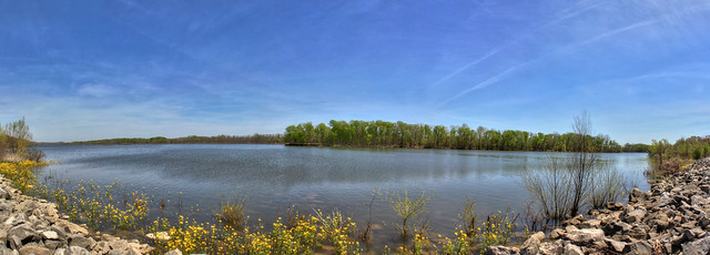 Gatlin Point, Land Between The Lakes Wildlife Management Area, Stewart County, Tennssee