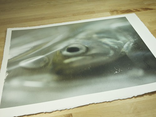 Fish on paper | by photo ephemera