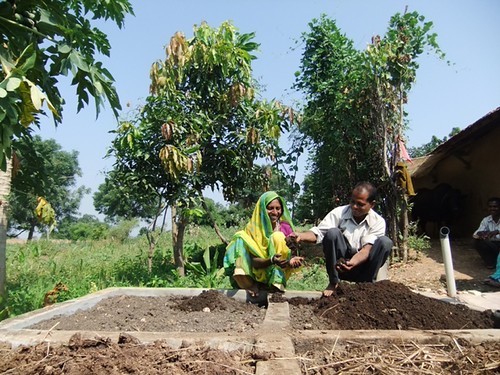 Sustainably increasing yields can boost soil and human health | by abossuet