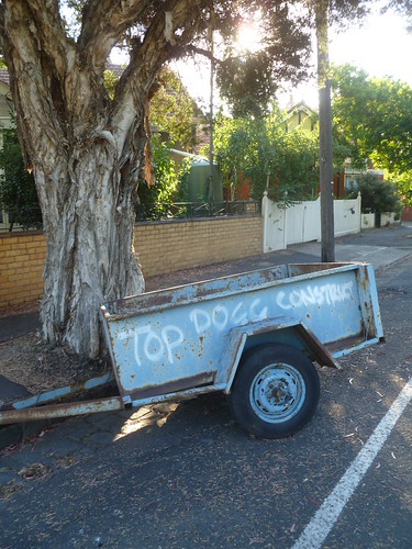 Top Dogg Construct | by El-Daigoro...