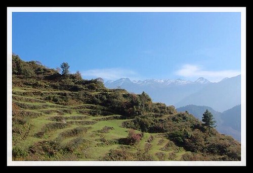 nepal mountain greenery happyholidays throwback treking landscapephotography rasuwa visitnepal cannonphotography dktm instatravel