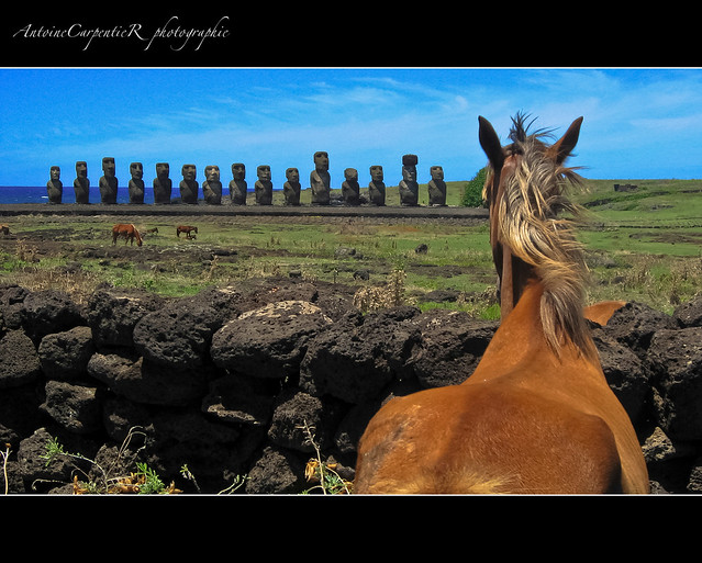 Rapa Nui (Easter island)