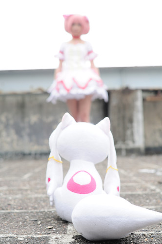 CMS_6031 | by 小月＃雅