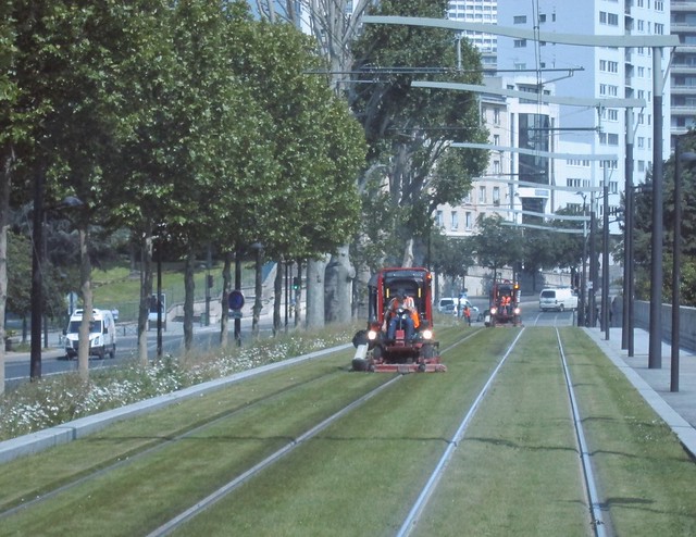 Mowing the tram tracks