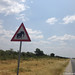 Day 9 - Beware of Elephants sign on Botswana highway- nuf said!