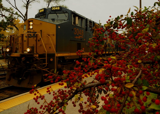 CSX slips by eastbound.