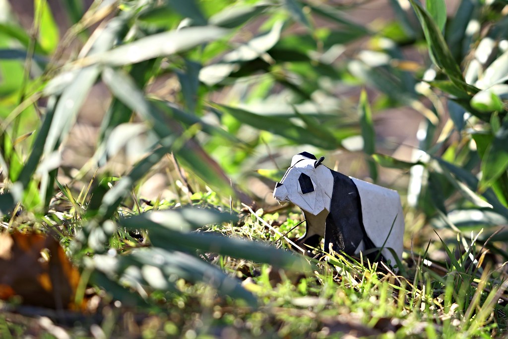 Panda ( origami )