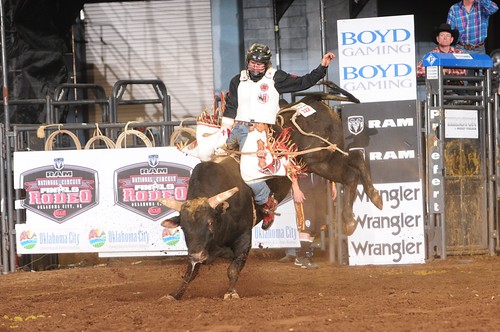 Welsh Bobby 3-31-12-D-151 | Photos courtesy James Phifer | Flickr