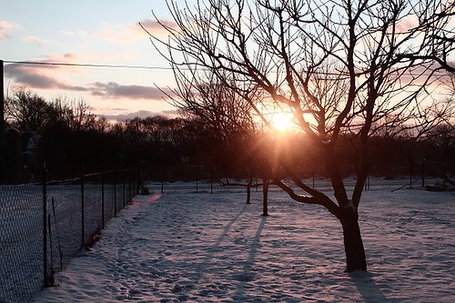 winter sunset sun snow tree nature canon eos slovensko slovakia 600d mošovce mosovce