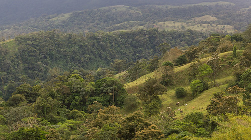 nature landscape costarica hill alajuela lafortuna