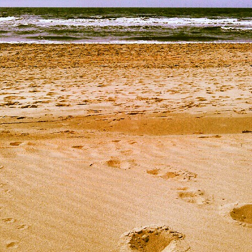 Strand Castricum