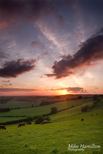 sunset sun canon kent cows hill 7d southdowns beautifullandscape uklandscape kentlandscape flickraward kentsbeauty canon7d