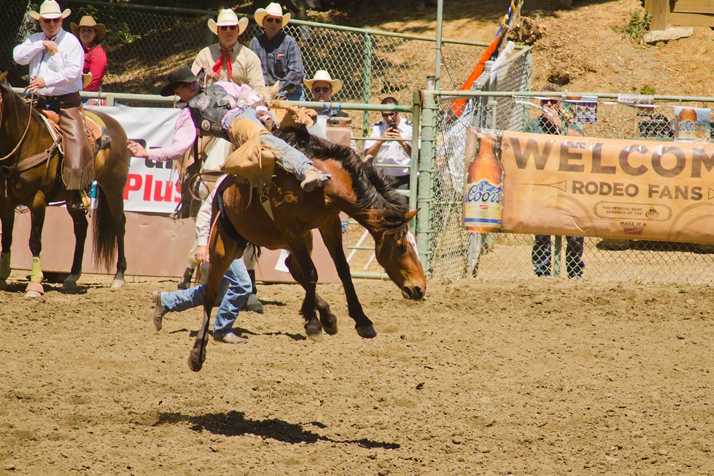 Rowell Ranch Rodeo 2025 Rowell Ranch Rodeo | Flickr