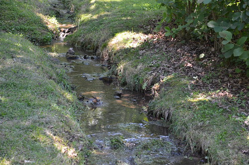 park water creek parks missouri nianguariver webstercounty marshfieldmo marshfieldmissouri hiddenwatersnaturepark
