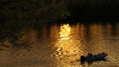 trees sunset reflection tree green water leaves reflections river boats gold golden evening boat spring twilight fishing soft tn mercury dusk tennessee ripple rivers boating reflective waters greenery ripples riverwalk clarksville waterway outboard waterways cumberlandriver lateafternoon outboards settingsun bassboat mcgregorpark