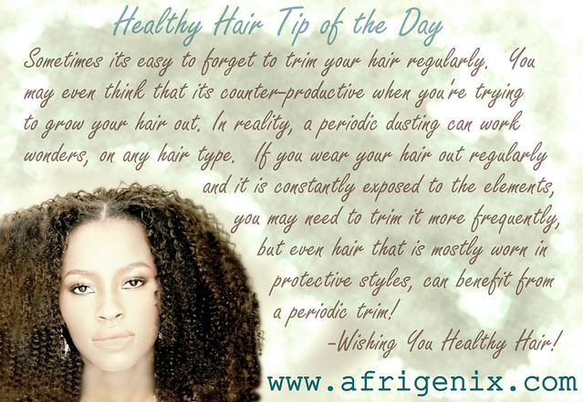Healthy Hair Tip of the Day