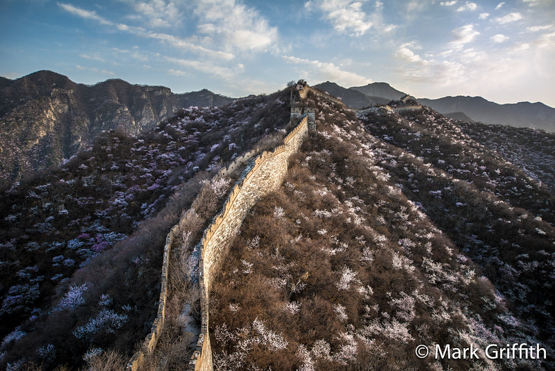 Blossoms at JianKou